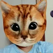 やくも