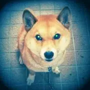 Yama