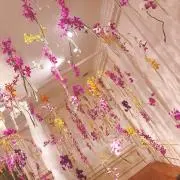 さくら