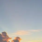 rioの画像