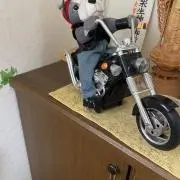 かずちゃん