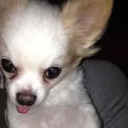 ③③