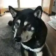 ミサヲの画像