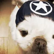 きなお