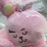 h.t-1223の画像