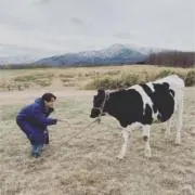 DOMINOの画像