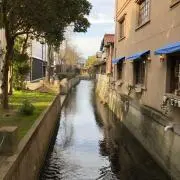 やま