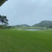 tatsuroの画像