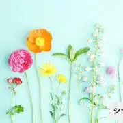 りあ♡プロフお読み下さいの画像