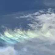 新品未開封 junaida ジュナイダ 怪物園 フィギュア - メルカリ