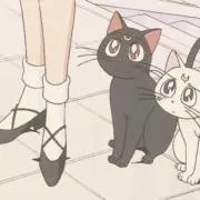 zzzの画像