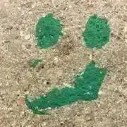 いしこの画像