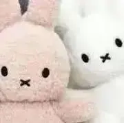 R♥︎断捨離中の画像