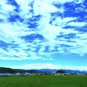 miyukiの画像