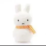 ゆきんこの画像