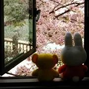 うさうさ（プロフ必読願います。）の画像