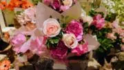 Nori Rosequartzの画像