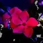 埖裏