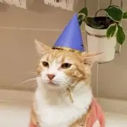 ★rr★の画像