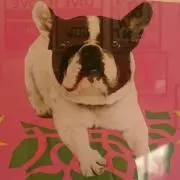 soraの画像
