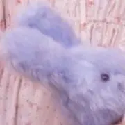 ゆ氏の画像