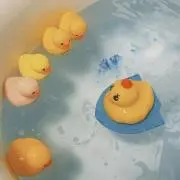 みしぇの画像