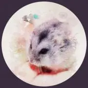 みー