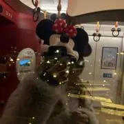 h❤︎の画像