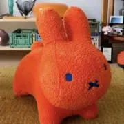 あーの画像