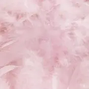 のの画像