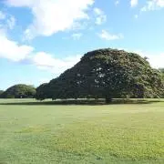 chokoの画像