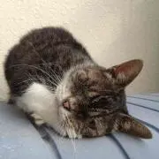 なーさんの画像