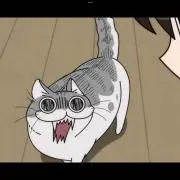 TKN 309の画像