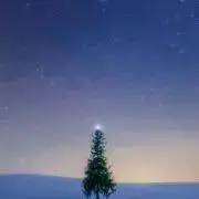 soraの画像