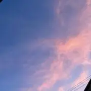 Cの画像