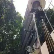 めい
