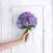 monの画像