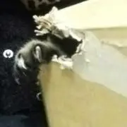 ちゅけ