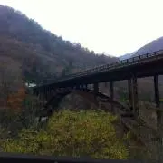 麦の画像
