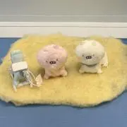 べにの画像