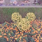 かはるの画像