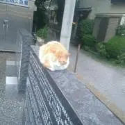 りく