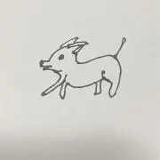 cocoの画像