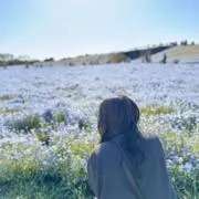 かめさんの画像