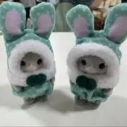 ナギの画像