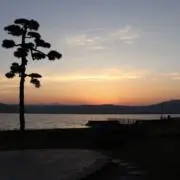 ☆の画像