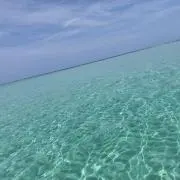 あぼの画像