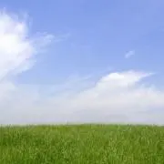さや
