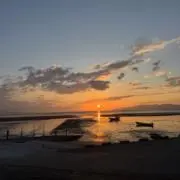 ゆうじの画像