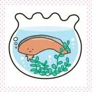 きりみの画像